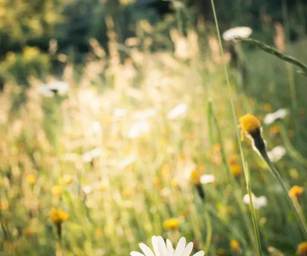 Casa rural Otava Sušice